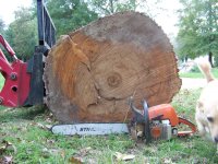 10-9-20 Red Oak Dwargs 20 Inch Saw.jpg