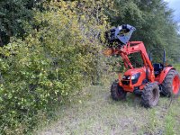 Kubota 8.jpg