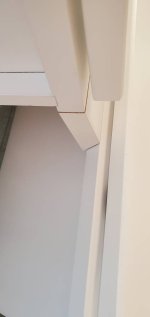 20200802_185549.jpeg