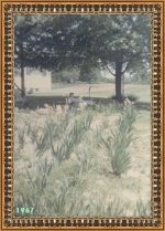 1967_OurYard1967.jpeg