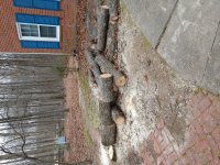 IMG_20201125_152743539.jpg