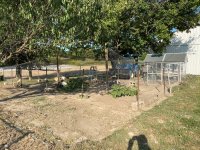 20200920 Chicken Coop.JPG