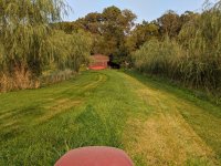 IMG_20200920_173405.jpg