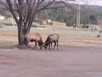 20201112_062140.jpg