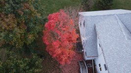 Photo_6553781_DJI_181_jpg_4229723_0_20201010181646_photo_original.jpg