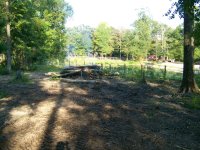 8-7-20 Clean Up Area Looking At My Pond.jpg 8-7-20 Clean Up Area Looking At My Pond.jpg