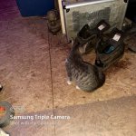 20201127_080252.jpg