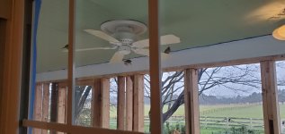birds.jpg