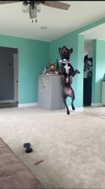 flyyyy.jpg
