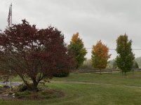 IMG_6940.JPG