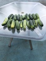 IMG_1847.JPG
