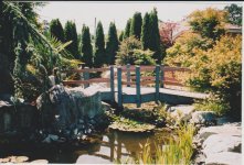 Image (15).jpg