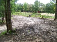 8-17-20 Neighbor's Cleared Drainage Area.jpg