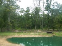 8-17-20 Looking Past Pond at Cleaned Up Area.jpg