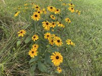 IMG_6296.JPG