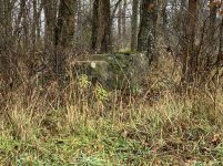 IMG_7675.JPG