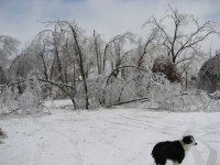 IMG_1453.JPG
