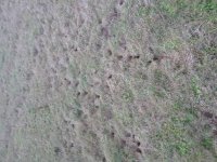 20201107_161339.jpg