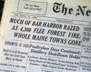 forestfires1.jpeg