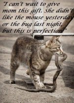 D4494695-1464-461A-BD61-9E3C5014C65B.jpeg