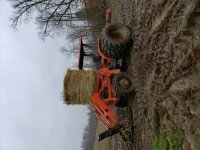 20190303_105224.jpg 20190303_105224.jpg
