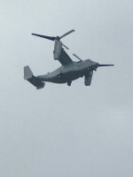 IMG_1952.JPG