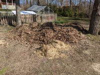 IMG_20200405_161644.jpg