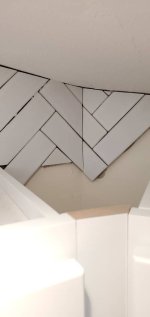20201013_133127.jpeg