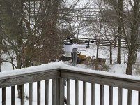 IMG_8011.JPG