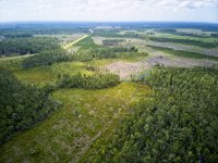 home site.jpg
