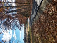 IMG_20201109_130251062_HDR.jpg