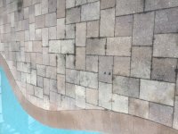 C0171BFD-AC1C-487C-9972-87F0290B6F09.jpeg