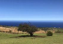 IMG_1979.JPG