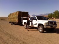 downsized_0429020851.jpg
