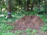 Present compost pile 2020.jpg
