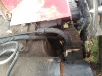 IMG_20200814_150318.jpg