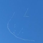IMG_1469.jpg