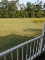 20200927_164136.jpeg