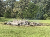 IMG_2458.jpg
