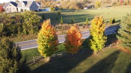 Photo_6553787_DJI_187_jpg_4038234_0_20201014174228_photo_original.jpg