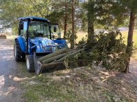 20200926 Moving Trees.JPG