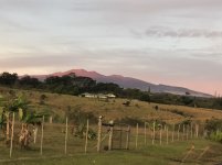 IMG_1489.JPG