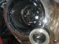 20200824_202510.jpg