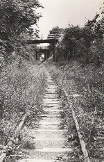 ORW_tracks_.jpeg
