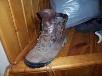 danner.JPG