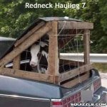 redneck trailer.jpg