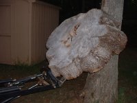 TreeTable2.JPG