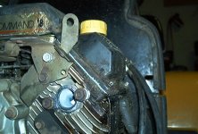 887061-CUB 1.jpg