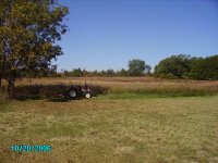 PICT0303.JPG