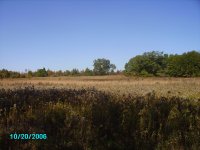 PICT0305.JPG